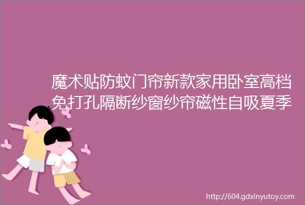 魔术贴防蚊门帘新款家用卧室高档免打孔隔断纱窗纱帘磁性自吸夏季