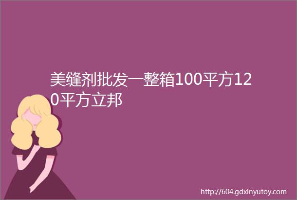 美缝剂批发一整箱100平方120平方立邦