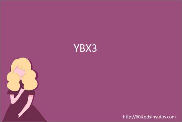 YBX3