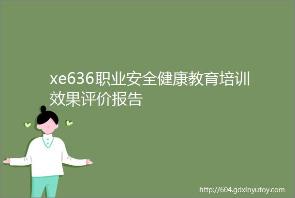 xe636职业安全健康教育培训效果评价报告