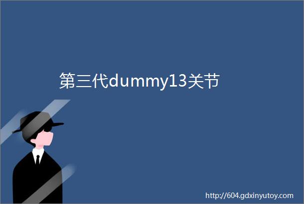 第三代dummy13关节