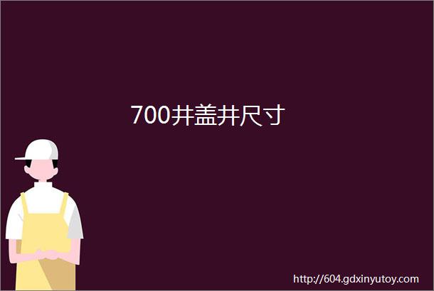 700井盖井尺寸