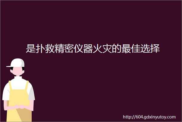 是扑救精密仪器火灾的最佳选择