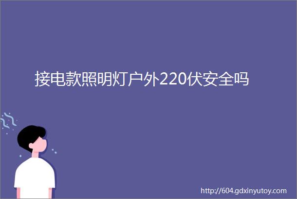 接电款照明灯户外220伏安全吗