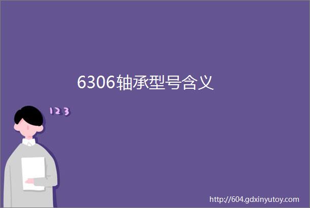 6306轴承型号含义