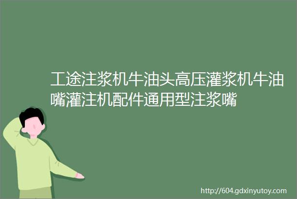 工途注浆机牛油头高压灌浆机牛油嘴灌注机配件通用型注浆嘴